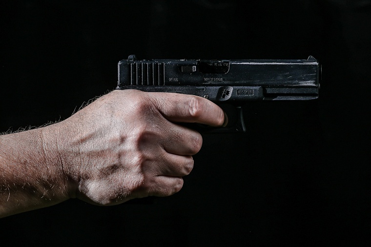 Житель Тобольского района пристрелил собаку, которая погрызла его индюков