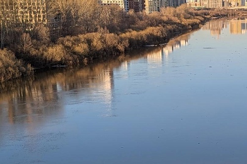 "Воды заметно меньше" - Александр Моор поделился видео реки Ишим в Казанском округе