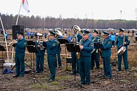 В Тюменском районе высадили 114 400 сеянцев сосны