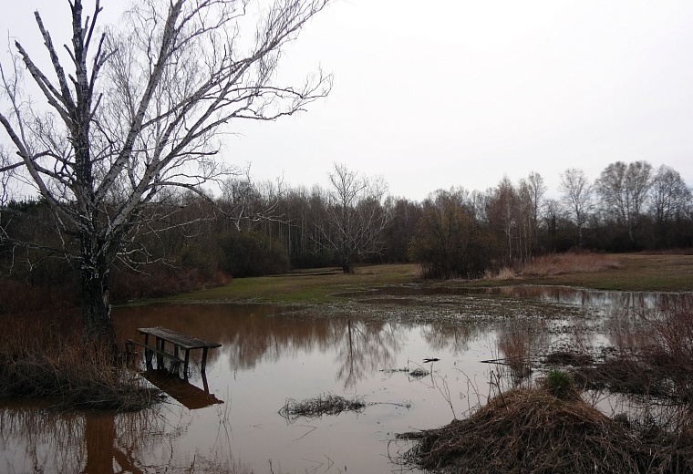 Народные приметы на 1 апреля: вешняя вода приведет богатые травы