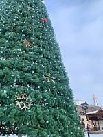 На Базарной площади в Тобольске установят 22-метровую новогоднюю елку