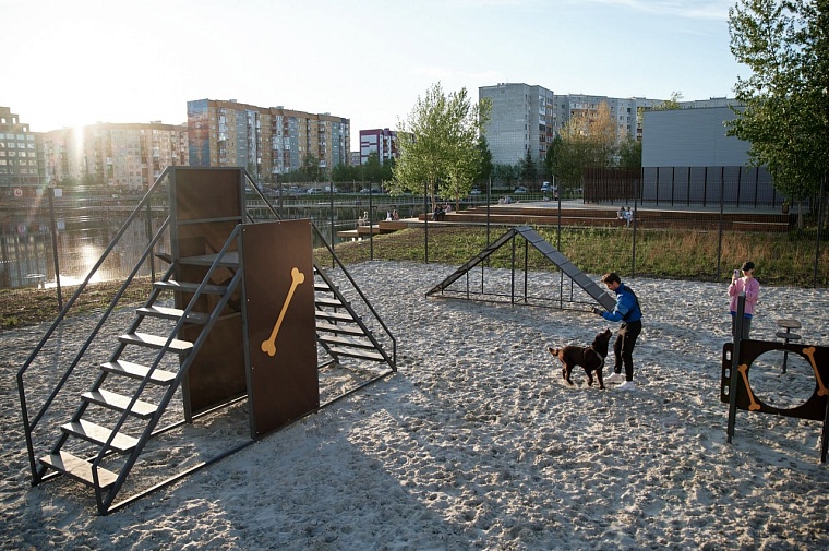 У Тихого озера в Тюмени обустроили площадку для дрессировки собак