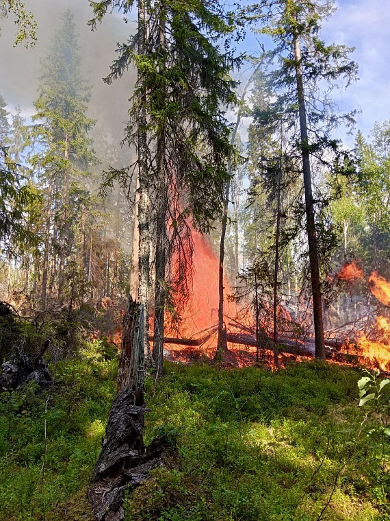 Где техника бессильна, в бой с огнем вступает пожарный десант