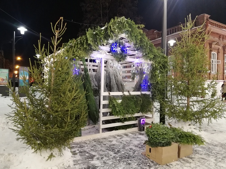 Стало известно, где в Тюмени будут работать елочные базары