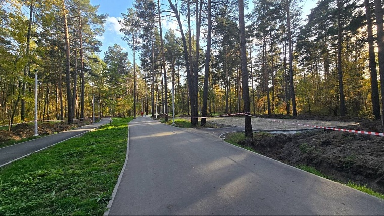 Максим Афанасьев: Парк «Комарово» откроется для посетителей зимой