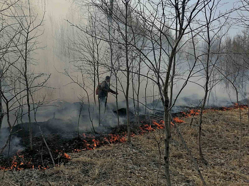 С 12 по 15 мая в Тюменской области объявлено предупреждение из-за высокой пожароопасности
