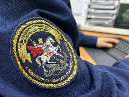 Наездом электросамоката на ребенка в Тобольске заинтересовались в СКР