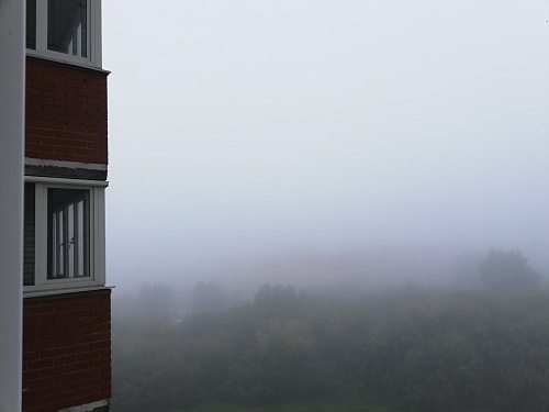 В Тюменской области с 15 по 17 сентября ожидаются туманы