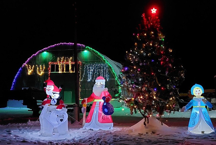 Глава Аромашевского округа показал, как жители украсили дома к Новому году