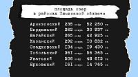 Сила — в рыбе! Как тюменские сиги и осетры приближали победу над голодом и нацизмом