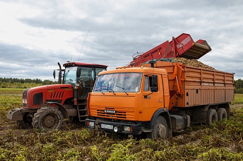 Агрофирма "КРиММ" первой в Тюменской области приступила к уборке урожая