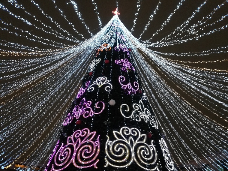 В Лабытнанги установят 30-метровую новогоднюю ель