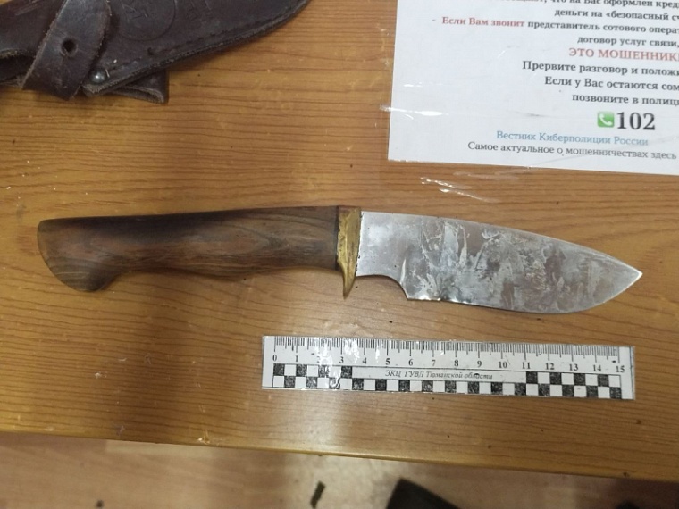 В Ярковском округе охотник вместо птицы убил лося