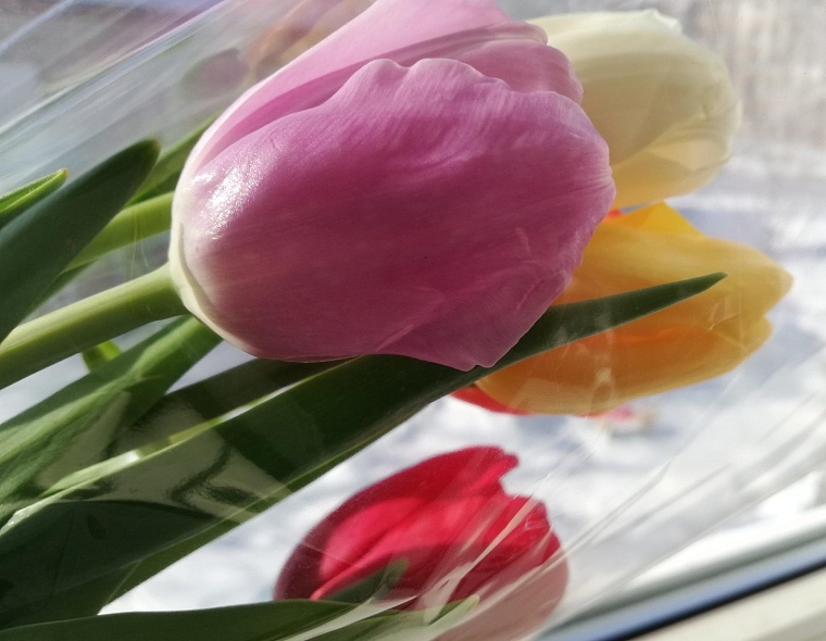 Центр Тюмени станет площадкой для празднования 8 Марта: для горожанок готовят подарки