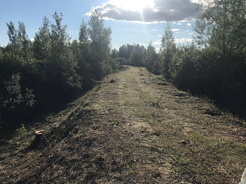 В Нижнетавдинском округе расчистили дамбы