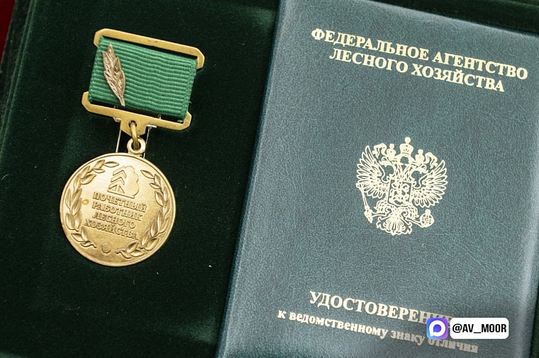 Александр Моор поздравил лесников с профессиональным праздником и вручил награды