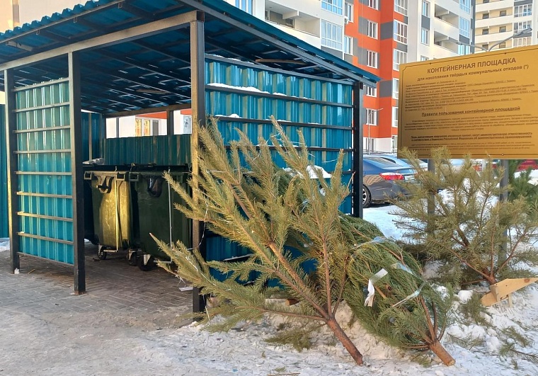 Время убирать елки: специалисты подскажут, как их правильно утилизировать