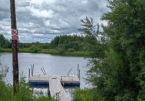 Купание тюменских «моржей» на озере Кривом сочли незаконным