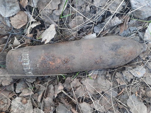 В Омутинском районе уничтожили артиллерийский снаряд времен Гражданской войны