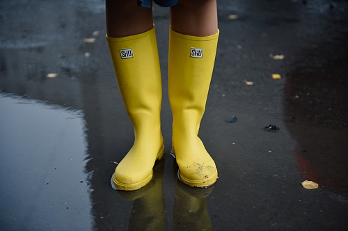 Тюменцы уже ищут на "Авито" теплицы, резиновые сапоги и надувные матрасы