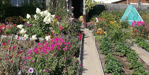 Советы садовода: что сажать на даче в мае по лунному календарю