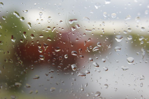 В Тюменской области прогнозируют дождь, мокрый снег и сильный ветер