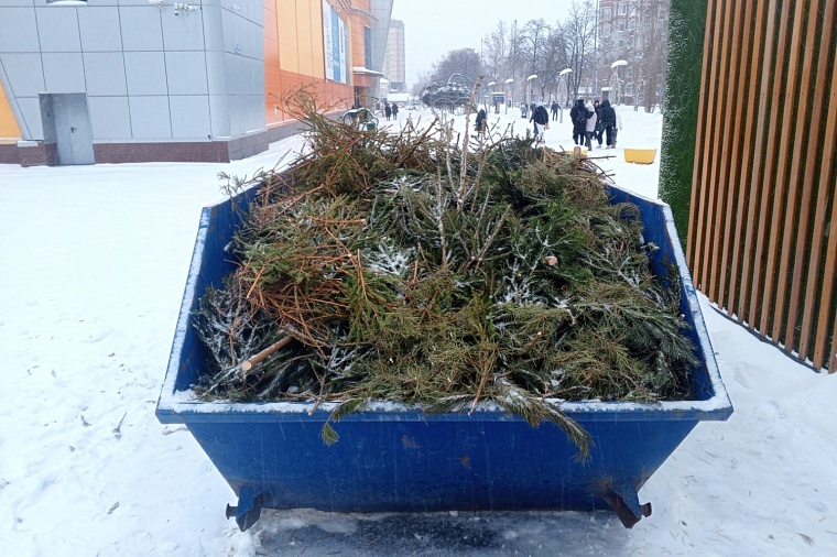 Тюменцы смогут бесплатно получить щепу из новогодних елок