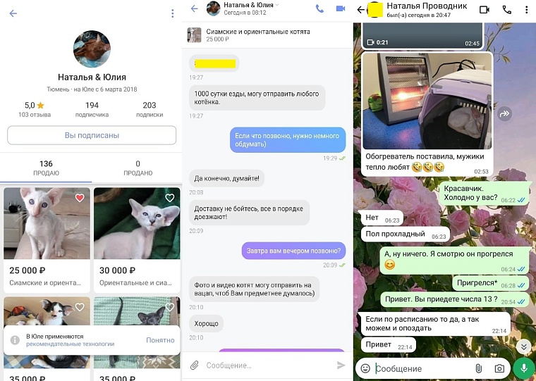 Задыхаются от запаха мочи: в Тюмени скандально известную заводчицу вновь обвиняют в устройстве «концлагеря» для кошек