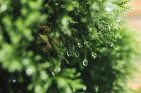 Народные приметы на 23 мая: дождь сегодня - к мокрому лету