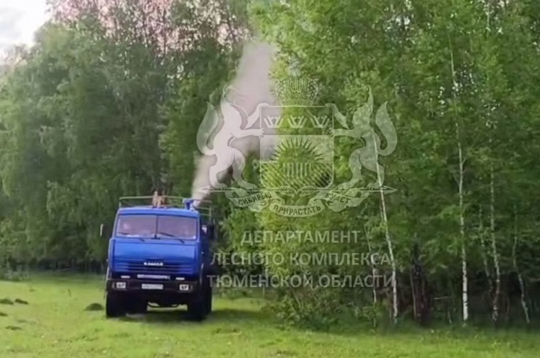 Леса Тюменской области обрабатывают от шелкопряда и майского хруща