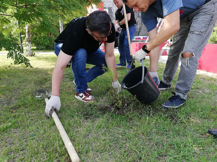 В День России в Тюмени высадили символичную аллею