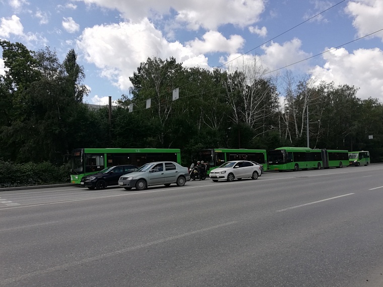 У экопарка Затюменского переименовали остановки
