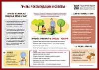 Как не отравиться грибами. Источник: 72.rospotrebnadzor.ru
