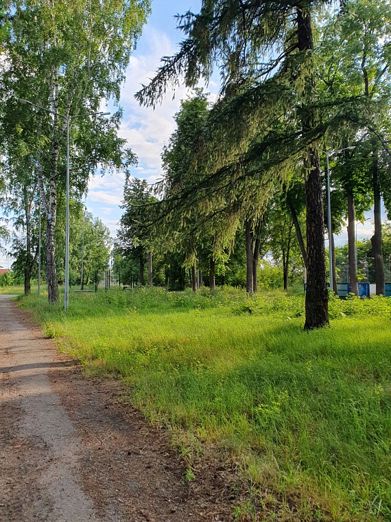 Маяковский в Тюмени: загадка короткого визита и улица его мечты