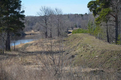"Держим руку на пульсе": тюменские власти вместе с жителями контролируют паводковую ситуацию