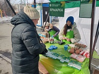 Продуктовые ярмарки в рамках фестиваля "Тюменская весна. Всей семьей" вызвали у тюменцев большой ажиотаж