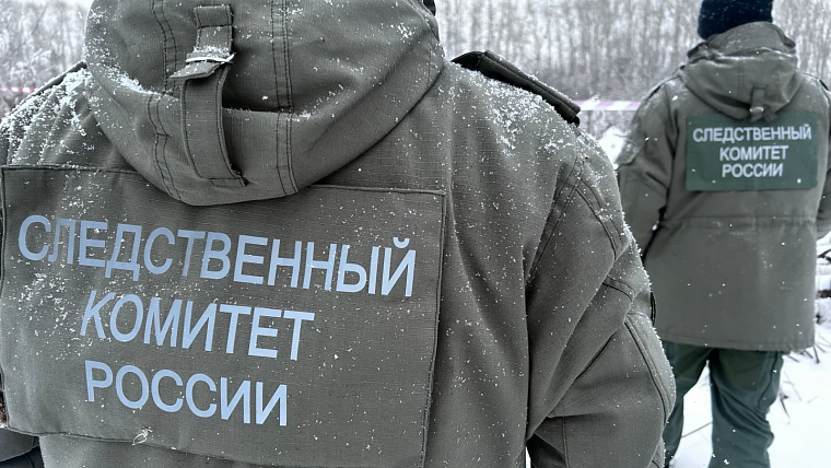 Тюменский СК возбудил уголовное дело после нападения собаки на ребенка в Богандинском