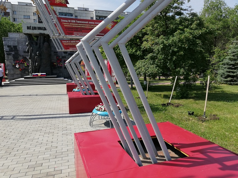 В День России в Тюмени высадили символичную аллею