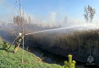 На Салаирском тракте в Тюмени тушат ландшафтный пожар