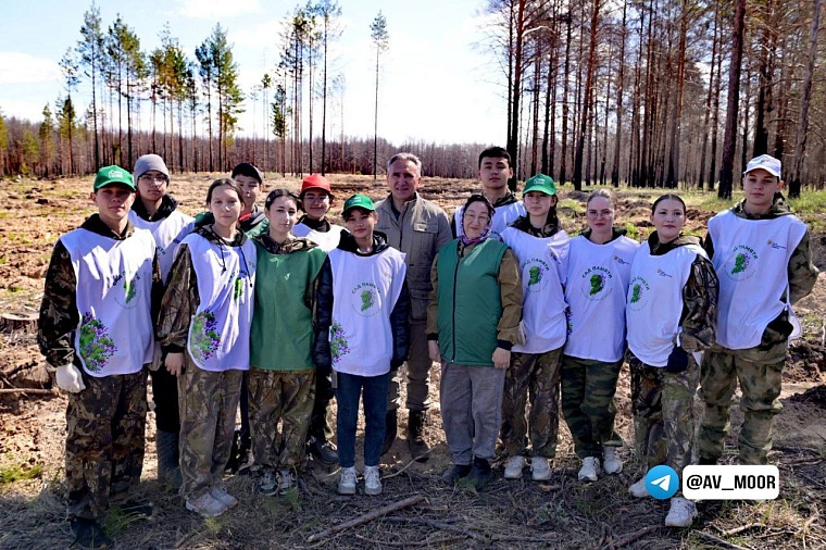 Александр Моор: «Сад памяти» - это наша благодарность поколению победителей