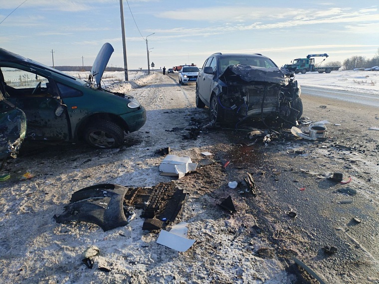 В ДТП в Исетском районе погиб житель Курганской области