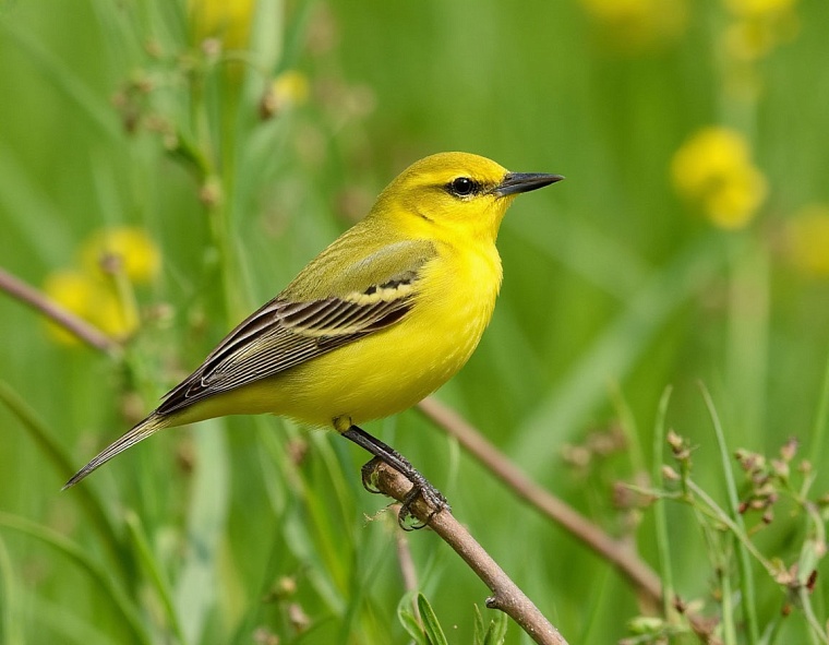 Картинка сгенерирована ИИ