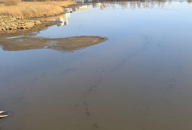 В Тюмени девочка чуть не утонула в пруду, снимая видеоролик