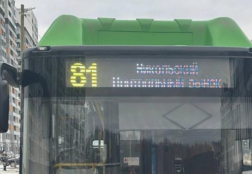 В Тюмени у автобуса №81 сократился интервал ожидания