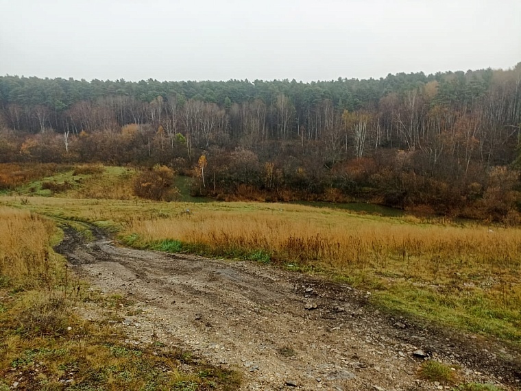 В Новосибирской области 19-летнюю девушку нашли убитой через месяц после исчезновения