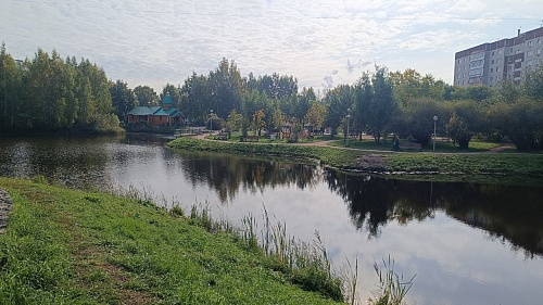 Школьный карьер в Тюмени повторно очистили от растительности