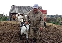 Семья тобольских фермеров безвозмездно передала коз селянам, пострадавшим во время паводка в Вагае