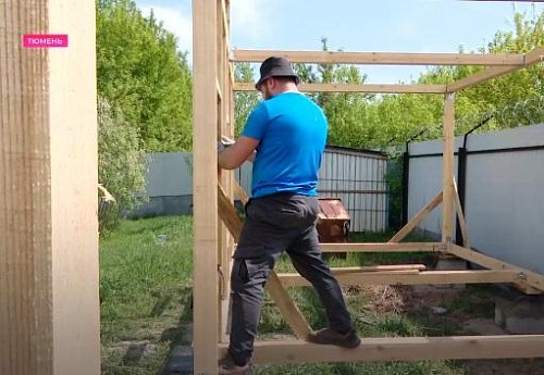 В тюменском приюте «Лучший друг» строят ясли для щенков