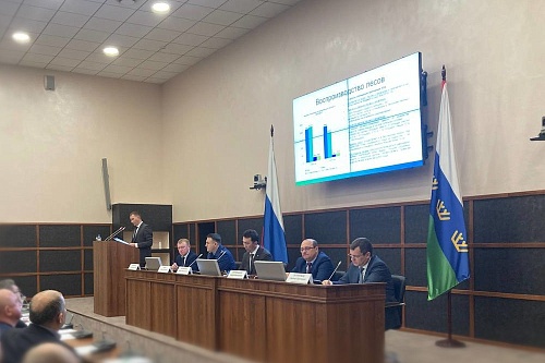 В правительстве Тюменской области прошло расширенное совещание с арендаторами лесных участков