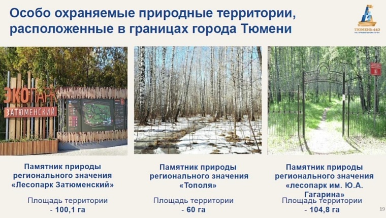 Депутаты Тюменской городской думы подняли вопрос о мангалах в лесах